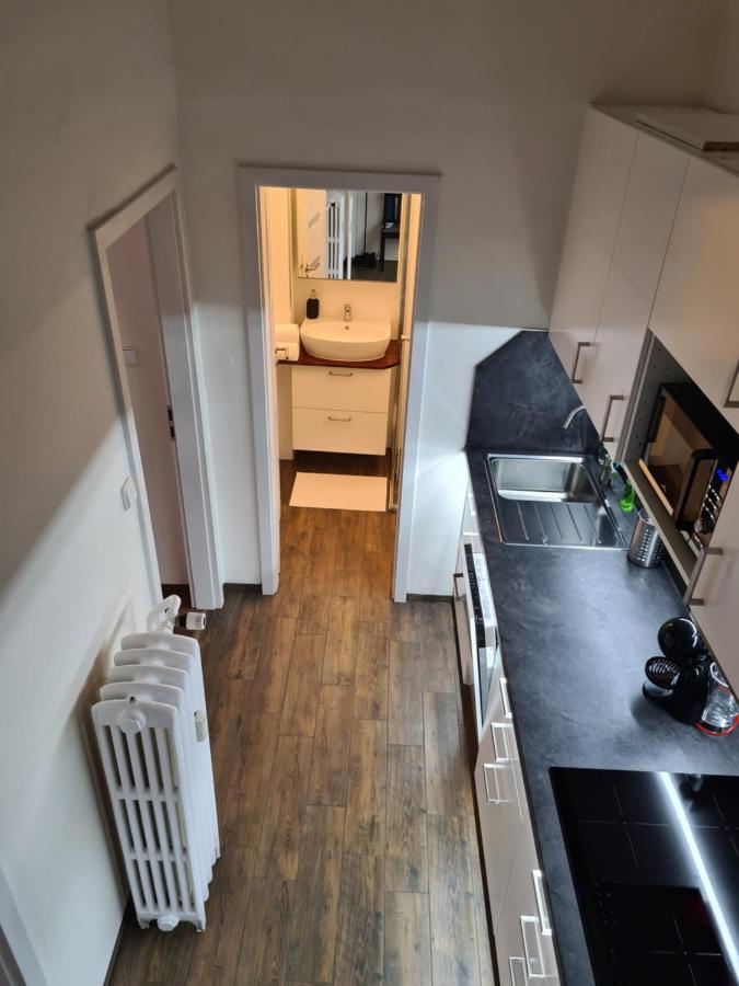 Svetly Prostorny Byt V Karline Apartment Praha Bagian luar foto