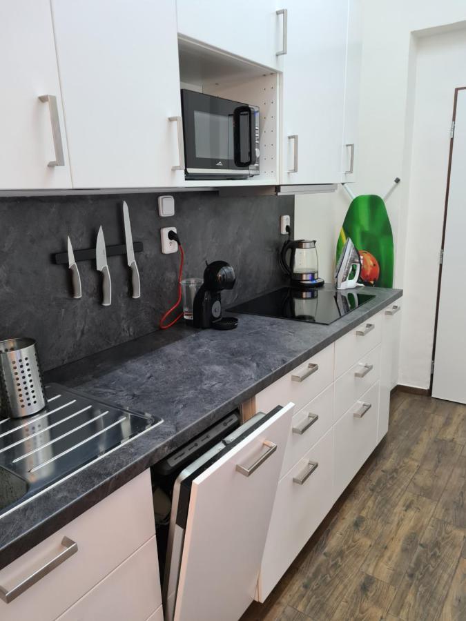 Svetly Prostorny Byt V Karline Apartment Praha Bagian luar foto