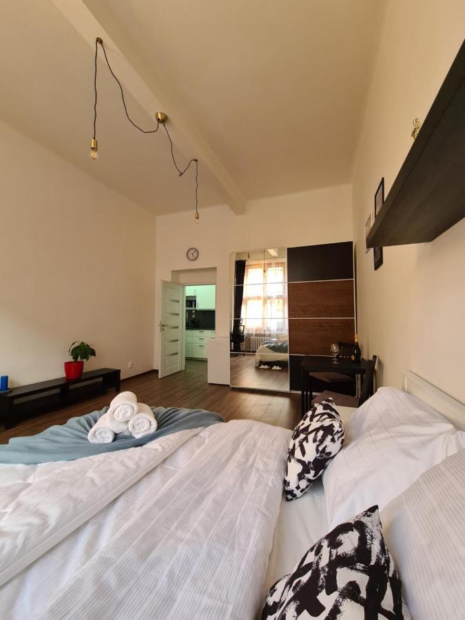 Svetly Prostorny Byt V Karline Apartment Praha Bagian luar foto