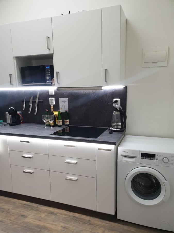 Svetly Prostorny Byt V Karline Apartment Praha Bagian luar foto